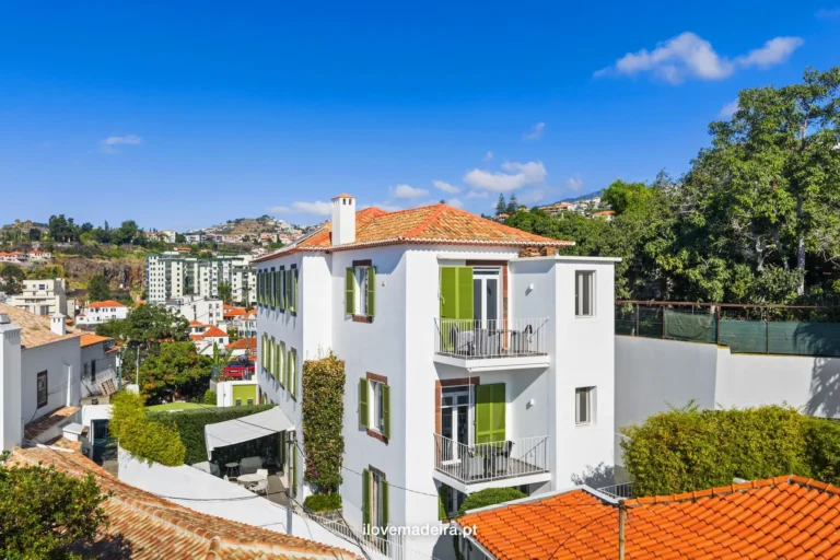 Quinta Torrinha and apartments, two buildings sold together in Funchal, photo 2
